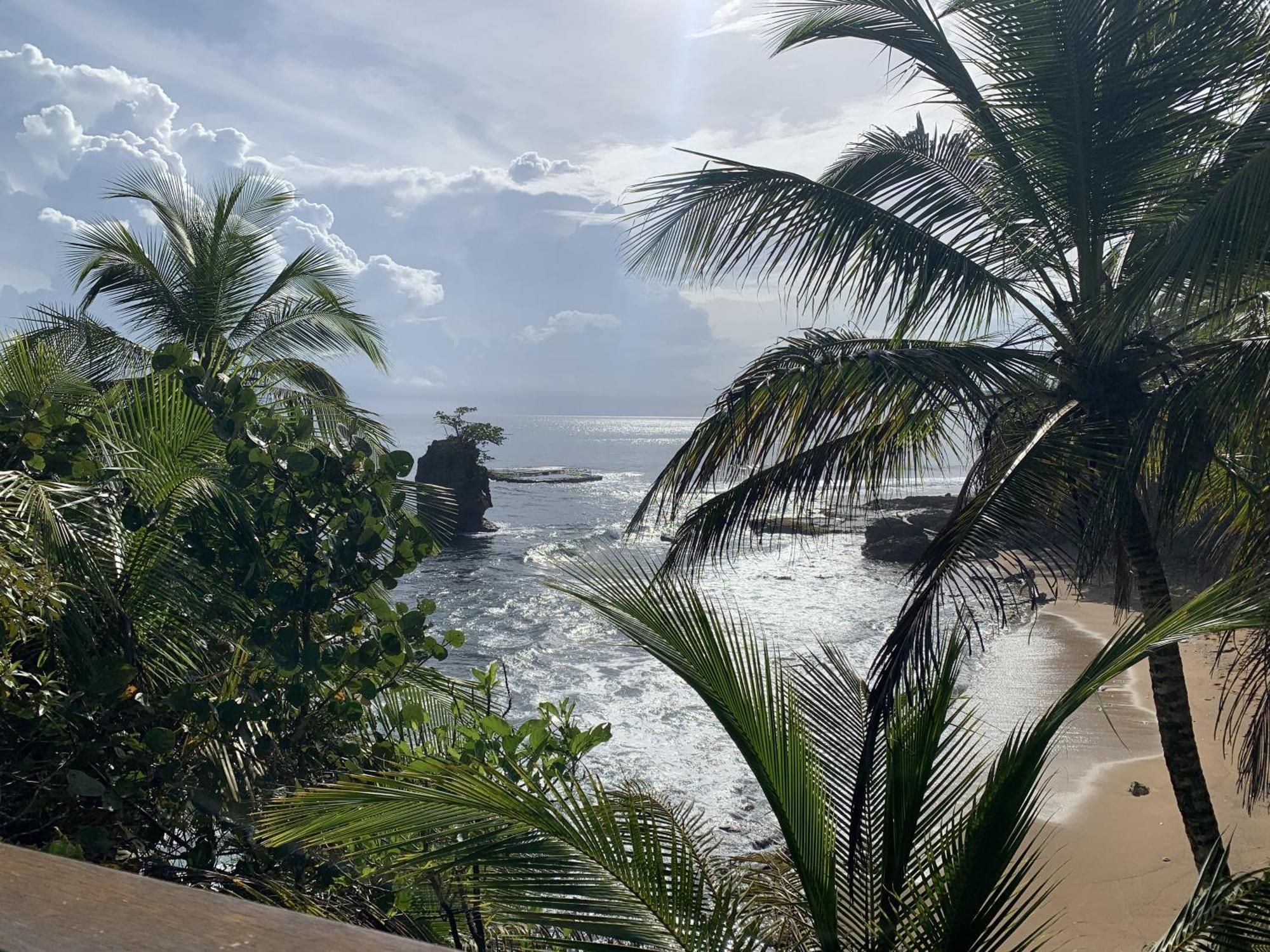 Casa Blanca Beachfront House With Shared Pool Access Pangea Lodge Manzanillo  Esterno foto