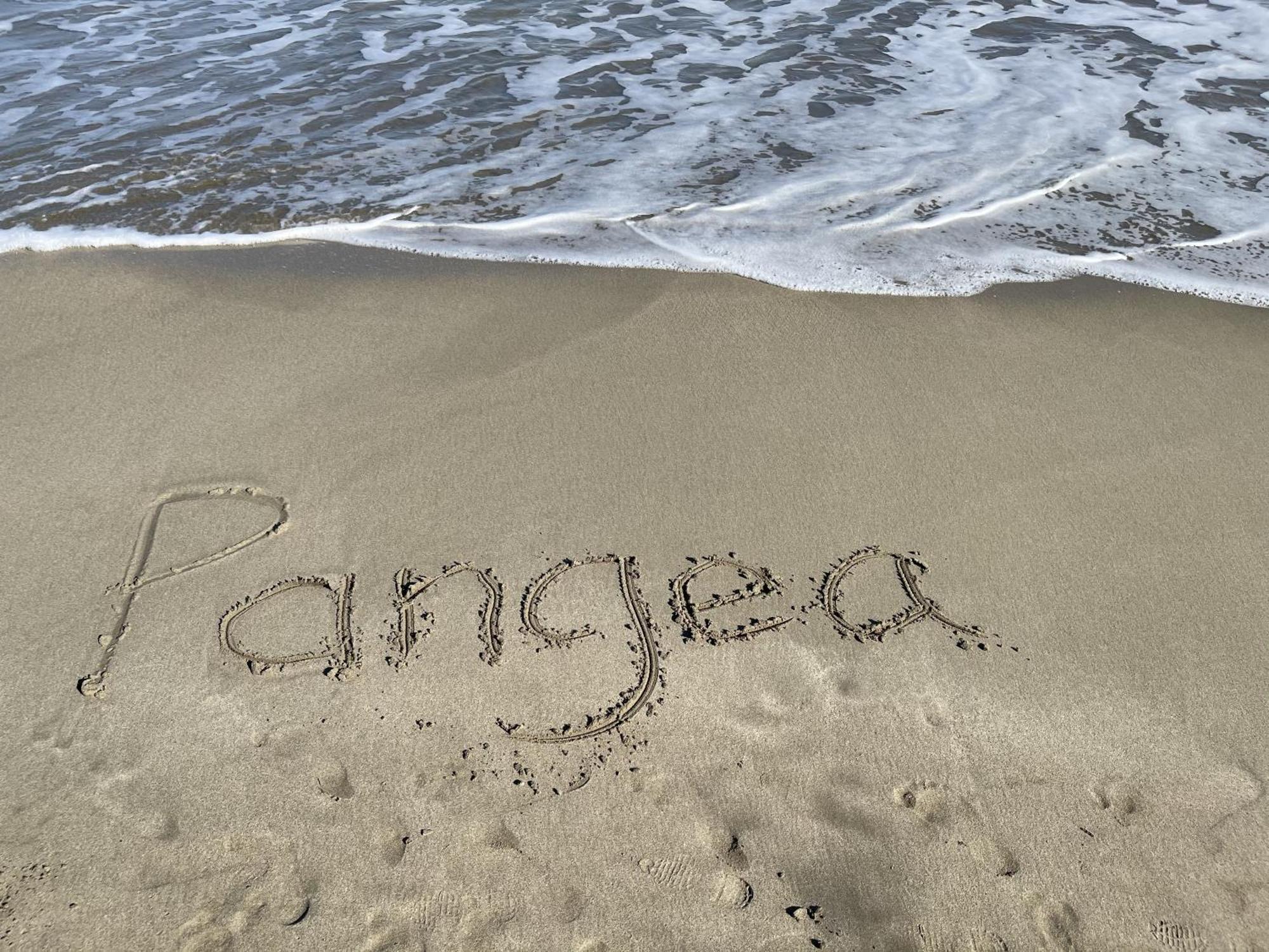 Casa Blanca Beachfront House With Shared Pool Access Pangea Lodge Manzanillo  Esterno foto